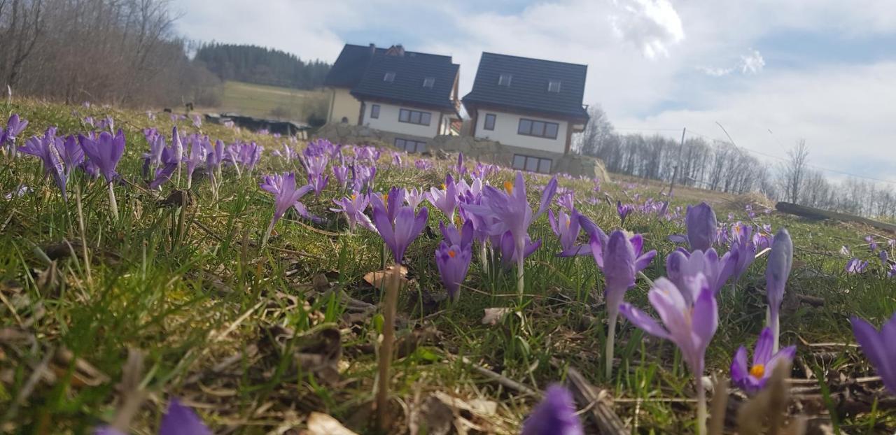 Nowinowe Domki Dzianisz Esterno foto